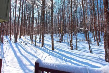 Wine Moose W Hot Tub Fireplace Sauna 9Min To Mt Snow Dover Exteriér fotografie